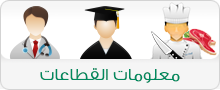 معلومات القطاعات