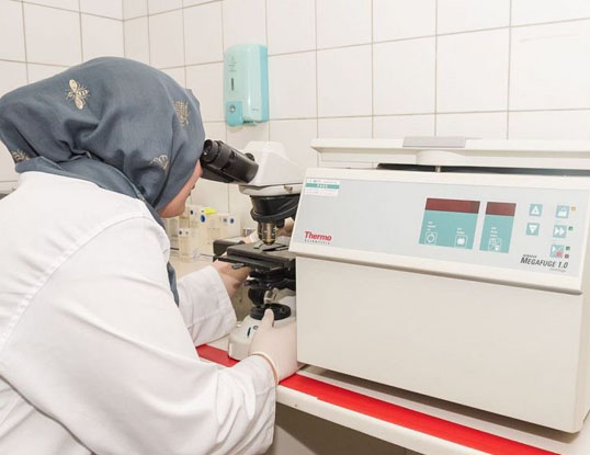 MOH: 16 Labs and Blood Banks Prepared in Makkah and Holy Sites