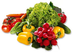 Media Information and Health Awareness Center Provides Food Tips for Pilgrims