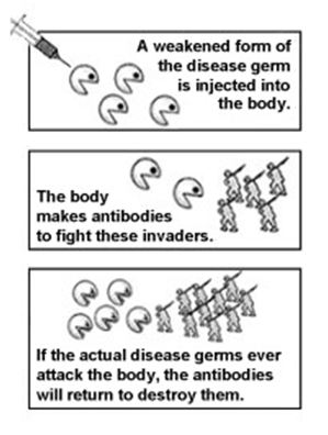 Immunization.JPG