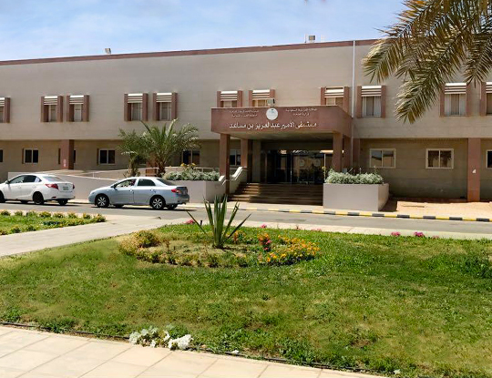 100,000+ Patients Served by Prince Abdulaziz bin Musaed Hospital -Arar Last Year