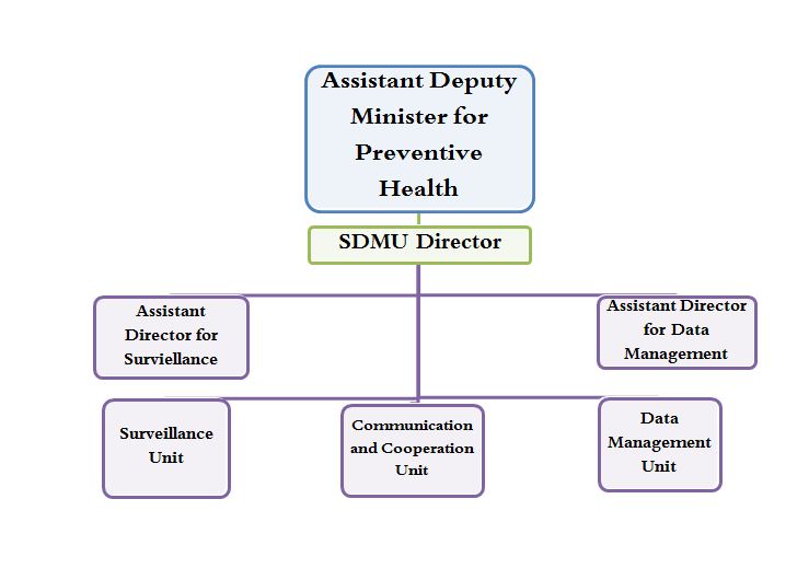 Organizational_Structure.JPG