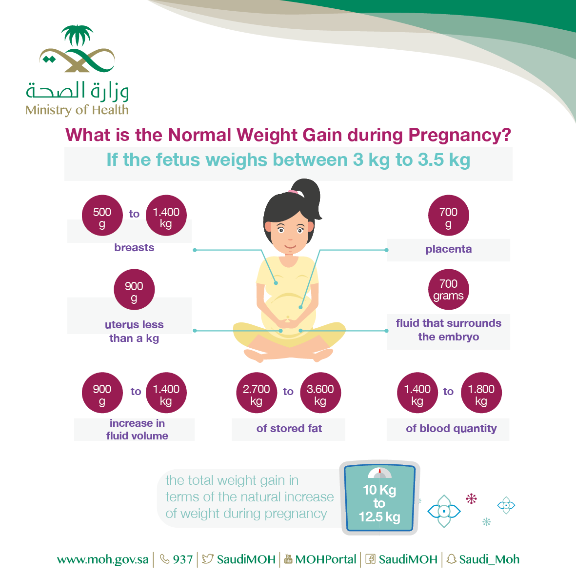 Normal Weight Gain During Pregnancy 