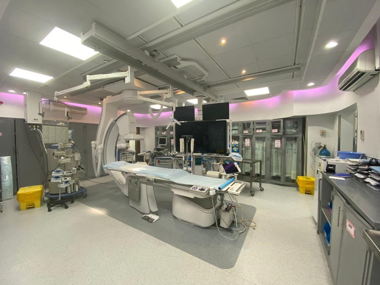 Replacing a Patient's Mitral Valve Instead of an Animal Valve she had Transplanted outside the Kingdom
