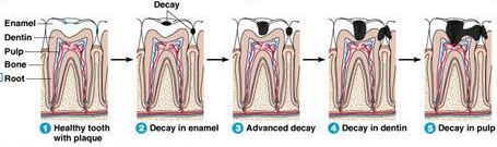 dental2.JPG